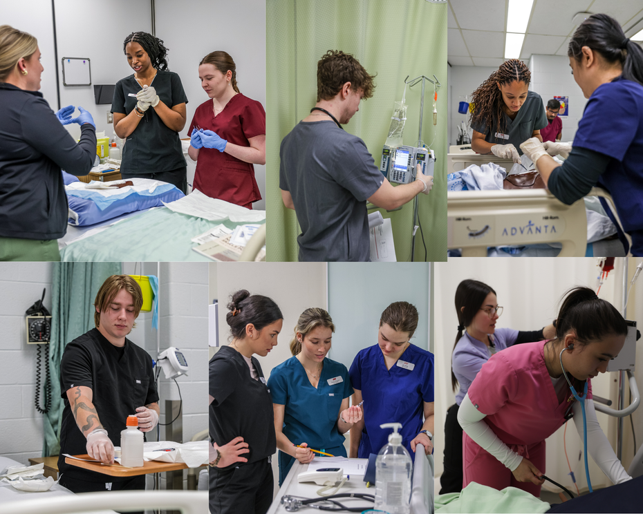 collage of nursing students